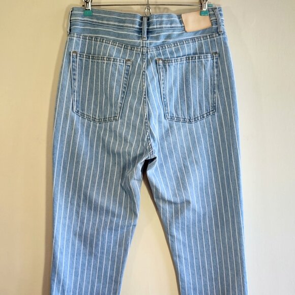 Everlane 90's Cheeky Straight Jean Stripe Ankle Light Wash Size 28 - Picture 5 of 11